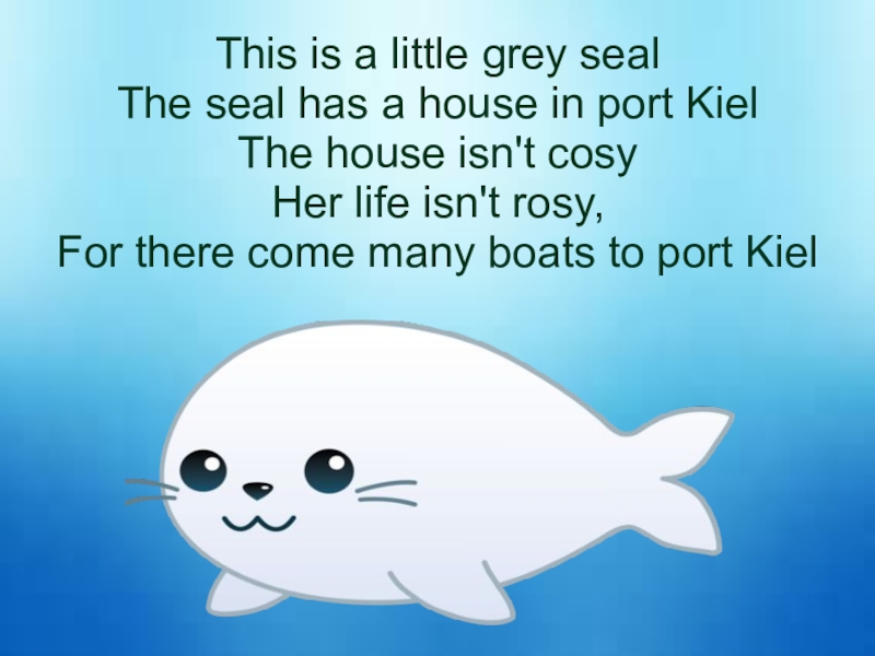 This is a little grey seal The seal has a house in port Kiel The house isn't