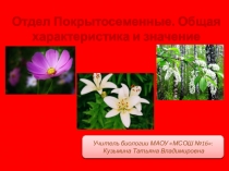 Презентация по биологии на тему Отдел Покрытосеменные (6 класс)