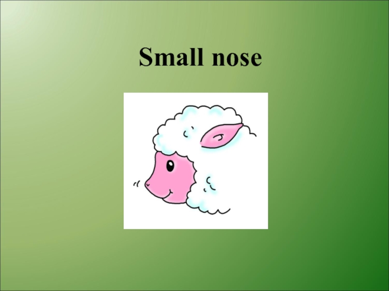 It s got a small nose. Small nose. Английский язык small nose. Small нос. Small nose картинка.