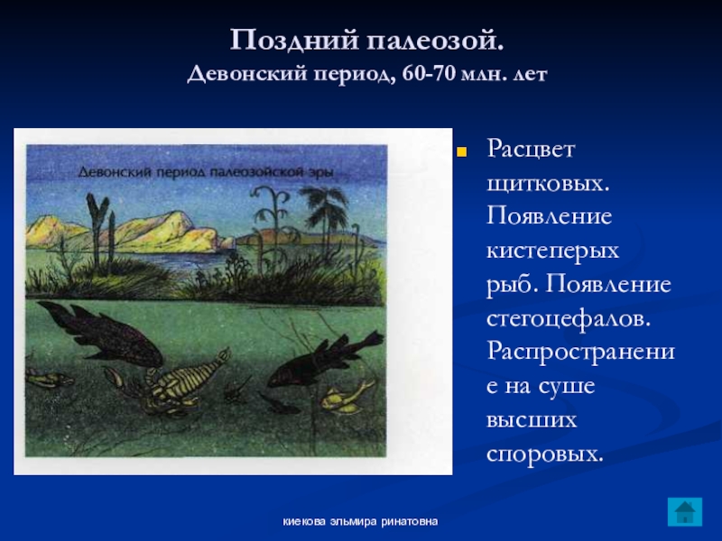 Поздний палеозой. Палеозой Девон растения. Палеозой Девонский период.