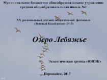 Презентация по краеведению на тему Озеро Лебяжье Сахалинской области