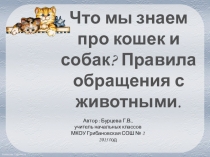 Презентация Что мы знаем про кошек и собак? Правила общения с ними