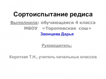 Проект на тему Сортоиспытание редиса