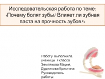 Исследовательская работа по теме: Почему болят зубы? Влияет ли зубная паста на прочность зубов?