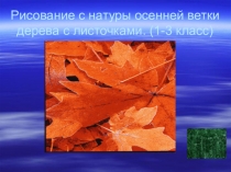 Презентация по изобразительному искусству на тему  Осенние листочки