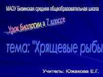 Презентация к уроку биологии Хрящевые рыбы (7 класс)