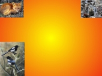 Презентация по окружающему миру на тему Размножение животных ( 3 класс)