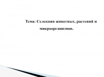 Презентация по биологии Селекция животных, растений и микроорганизмов