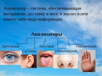 Презентация по биология на тему Зрительный анализатор