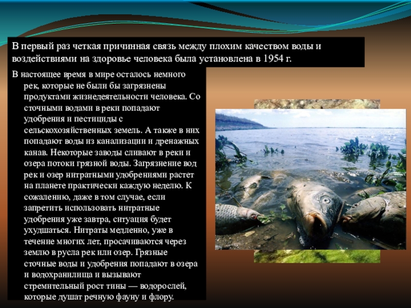 Загрязнение воды презентация обж 8 класс