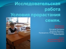 Исследовательская работа по биологии на тему Условия прорастания семян(6 класс)