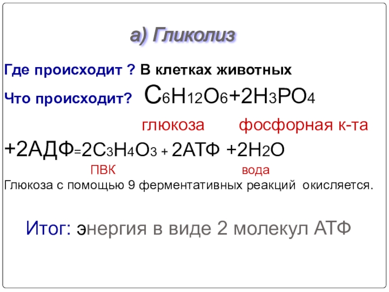 Процесс гликолиза. Где происходит гликолиз. Гликолиз протекает в.