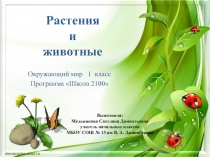 Презентация по окружающему миру Растения и животные (1 класс)