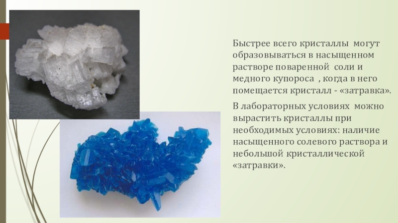 Быстрее всего кристаллы  могут образовываться в насыщенном растворе поваренной  соли и медного купороса  , когда в него