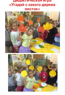 Дидактическая игра своими руками Угадай с какого дерева листок для дошкльников