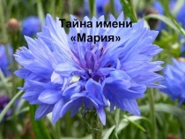 Презентация по русскому языку Мария