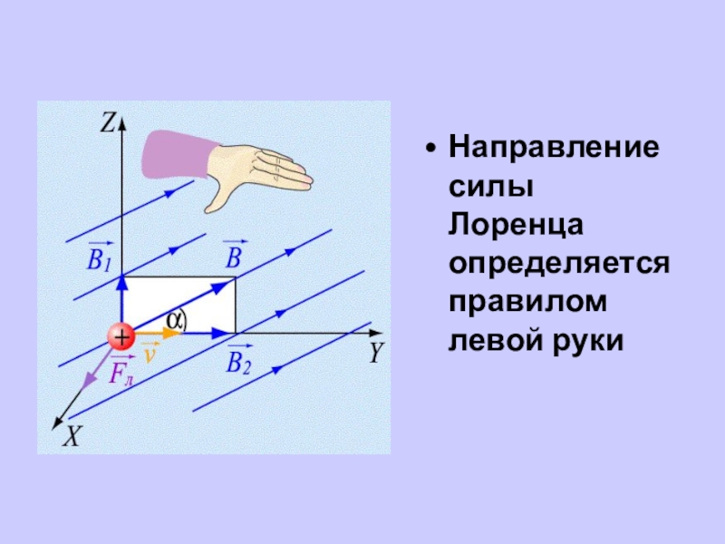 Сила лоренца презентация 11 класс физика