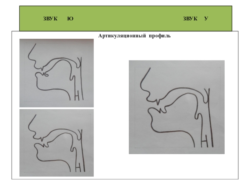 Артикуляция звуков в графическом изображении