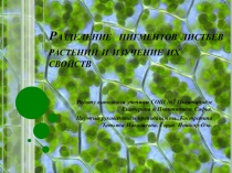 Презентация к исследовательской работе Разделение пигментов листьев растений и изучение их свойств