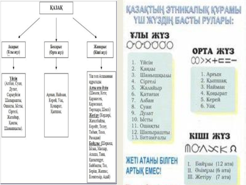 Найман руының шежіресі схема