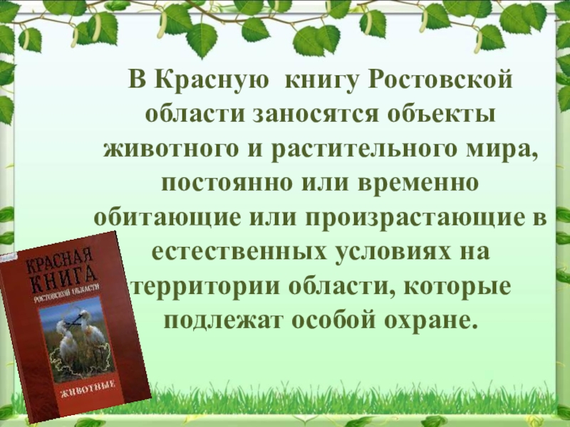 Проект животные красной книги ростовской области