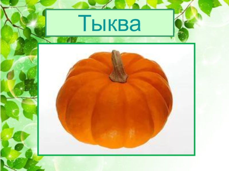 Тыква схема слова цветная