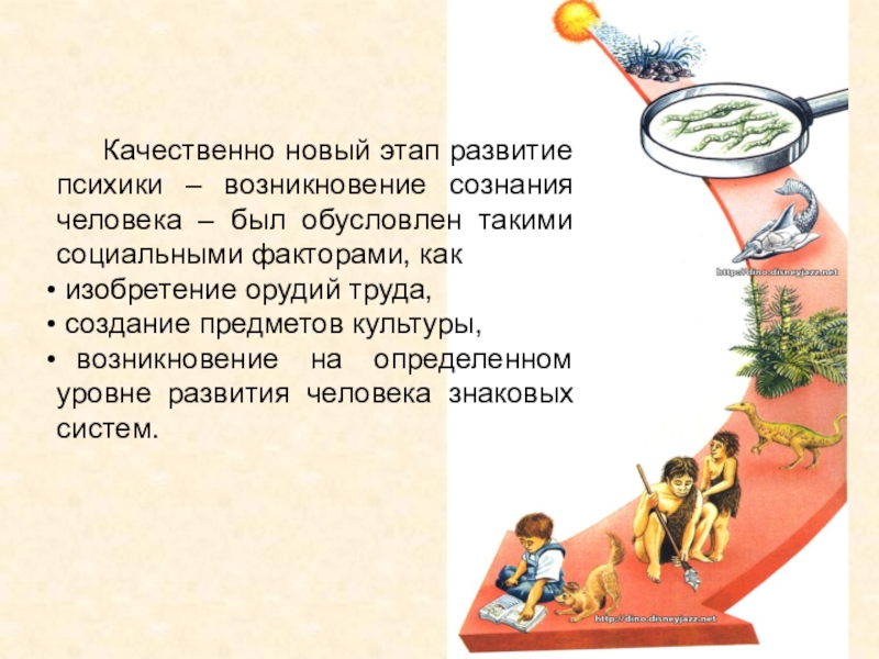 Роль труда в развитии. Ступени развития сознания человека. Стадии развития сознания. Этапы возникновения сознания. Этапы формирования сознания человека.