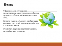 Презентация Растения и животные различных уголков Земли. Растения экваториального леса.