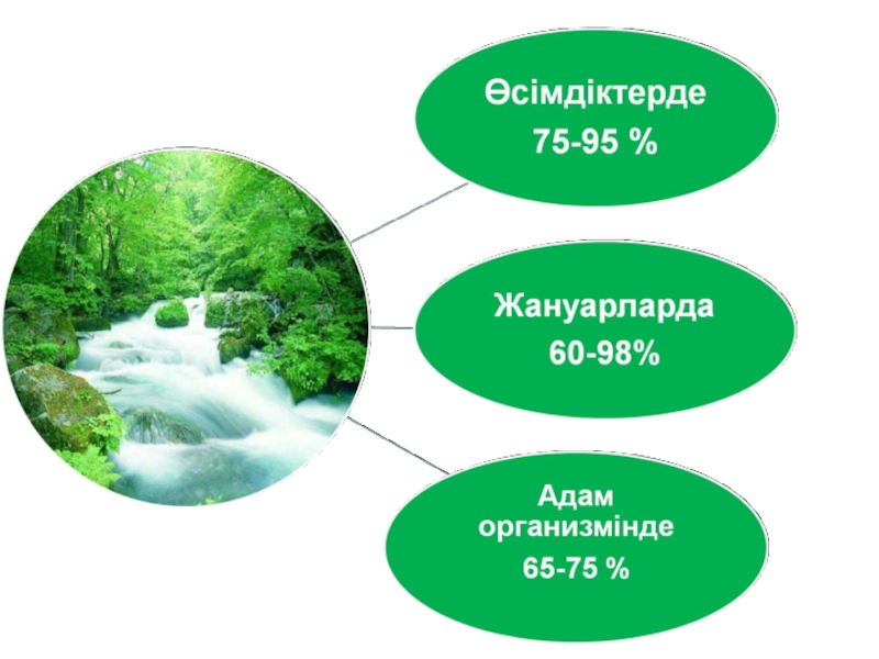 Адамның табиғаттағы рөлі презентация