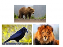 Задание на поиск лишнего из группы. (1 класс)