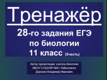 Презентация по биологии на тему: Генетика. Тренажёр 28-го задания ЕГЭ - часть 5 (11класс)