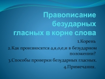 Правописание безударных гласных в корне слова.