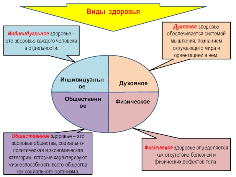 Виды индивидуального здоровья