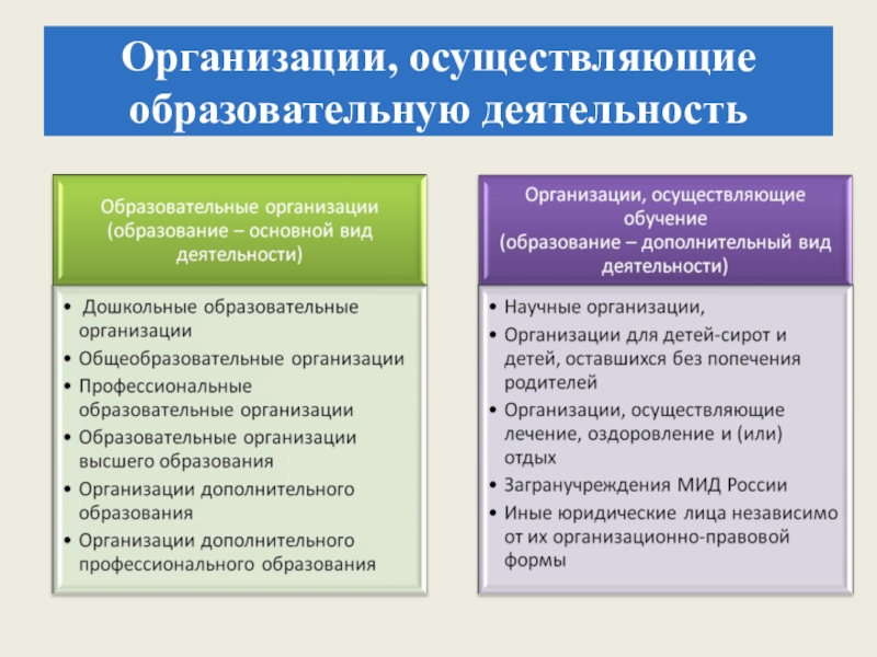 Реализация организацией осуществляющей образовательную деятельность. Организации осуществляющие обучение виды. Лица осуществляющие образовательную деятельность. Иные юридические лица в образовании. Дополнительные виды деятельности.