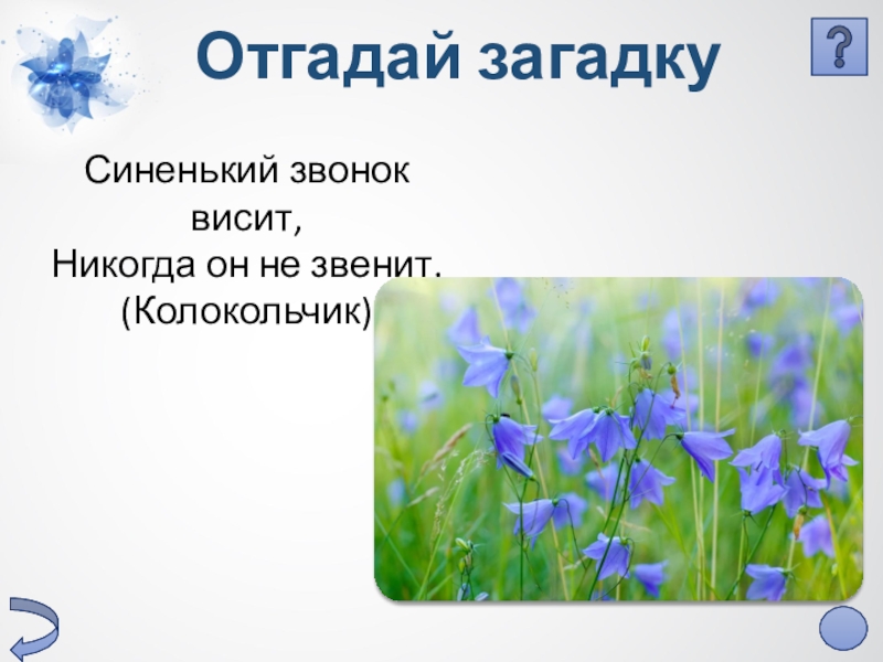 А толстой колокольчики мои презентация 3 класс перспектива