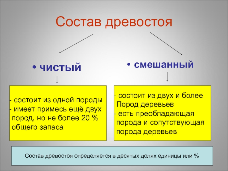 Состав определение. Состав древостоя. Формула состава древостоя. Чистый состав древостоя. Древостой чистый и смешанный.