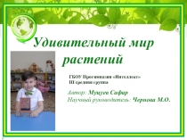 Презентация к проекту Удивительный мир растений