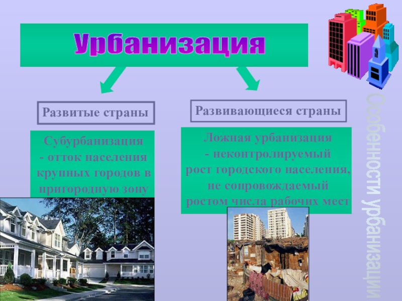 Особенности урбанизации страны. Урбанизация в развитых и развивающихся странах. Урбанизация реферат. Особенности урбанизации в развитых странах. Урбанизация и экология человека.