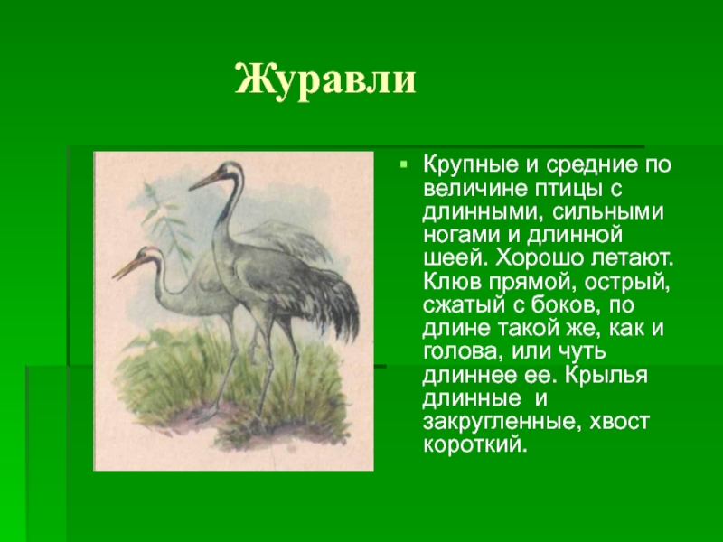 Поговорим о самом главном 1 класс литературное чтение презентация гусь и журавль