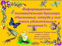Презентация - проект Название насекомых (1 класс)
