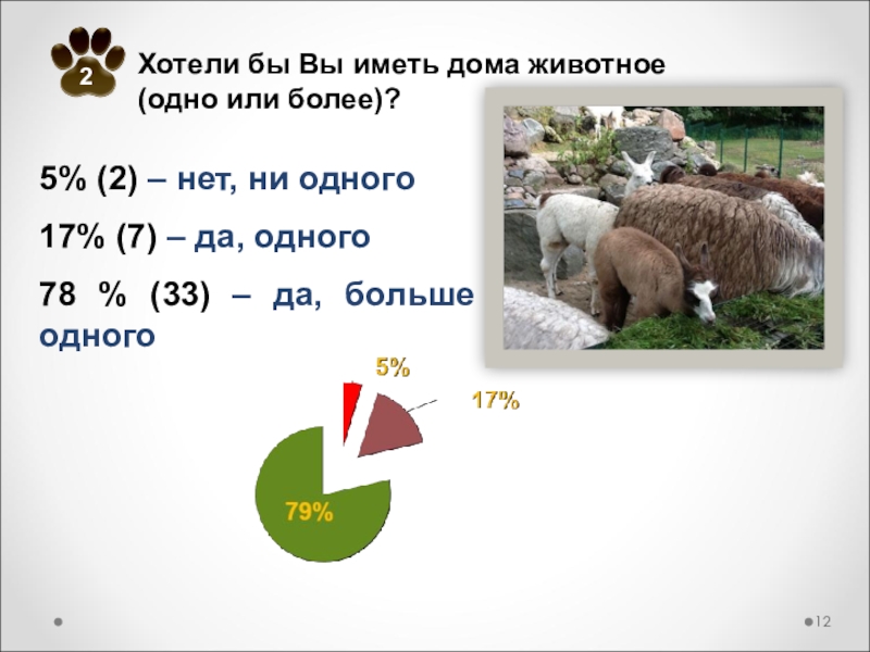 Проблемы содержания диких животных в домашних условиях проект