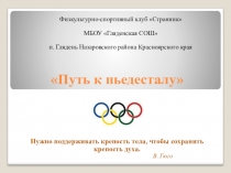 Презентация опыта работы физкультурно-спортивного клуба Странник