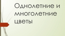 Однолетние и многолетние растения