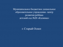 Проект Семейные ценности в духовно-нравственном воспитании дошкольников.
