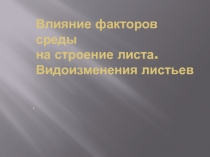 Презентация по биологии на тему Влияние факторов среды на строение листа. Видоизменения листьев.