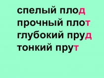 Презентация по русскому языку