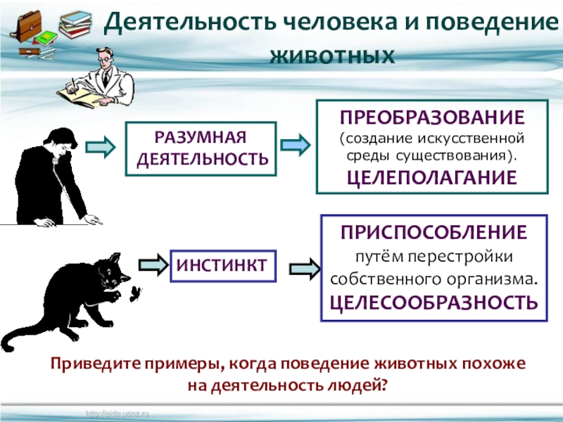 Реферат На Тему Деятельность Способ Существование Людей