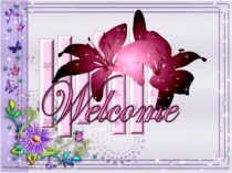 Творческий проект по английскому языку на тему Моя школа