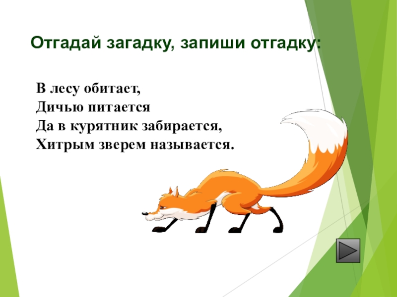 В лесу она не водится. Загадка отгадай и запиши. Отгадай загадку запиши отгадку. Загадка с отгадкой хвост. 1. Отгадай загадку. Отгадки запиши..