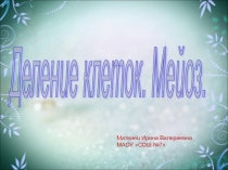 Презентация по биологии на тему Деление клетки. Мейоз (9, 11 классы)